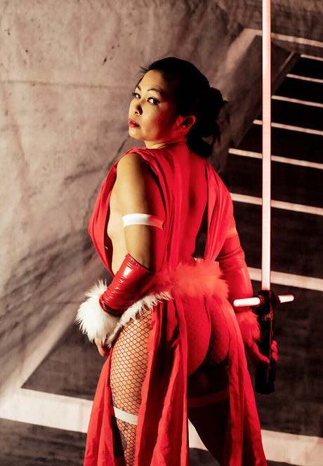 vivsai star galleries