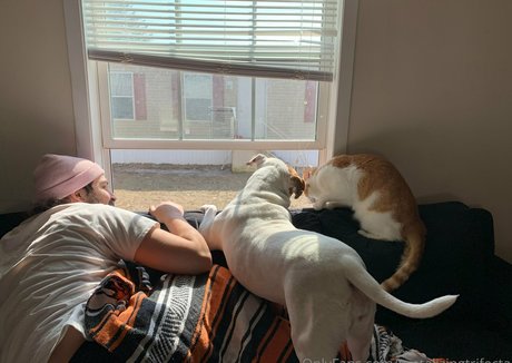 tantalizingtrifecta pornstar nudes gallery