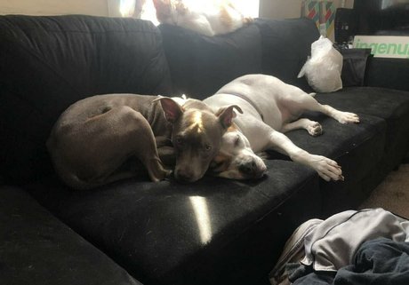 tantalizingtrifecta pornstar adult pic