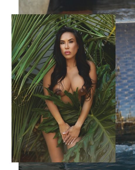 Jenny Sushe pornstar best pictures