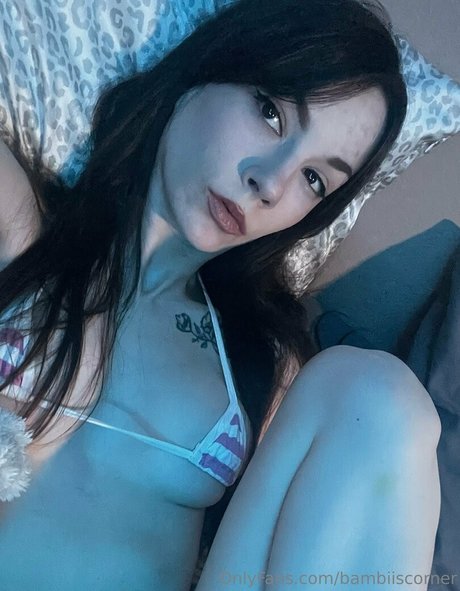 bambiiscorner pornographic star archive