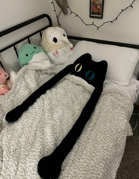 sleepy raccoon star pic