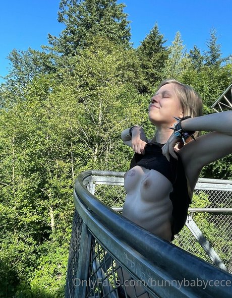 Bunnybabycece star xxx img