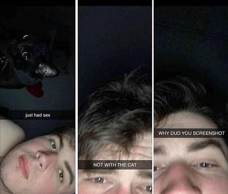 Soyacide xxx actress pictures