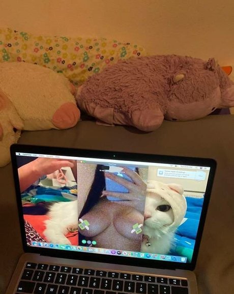 Fattestcat art pornstar archive