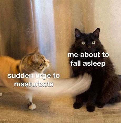 Eden Cohen model sex pictures