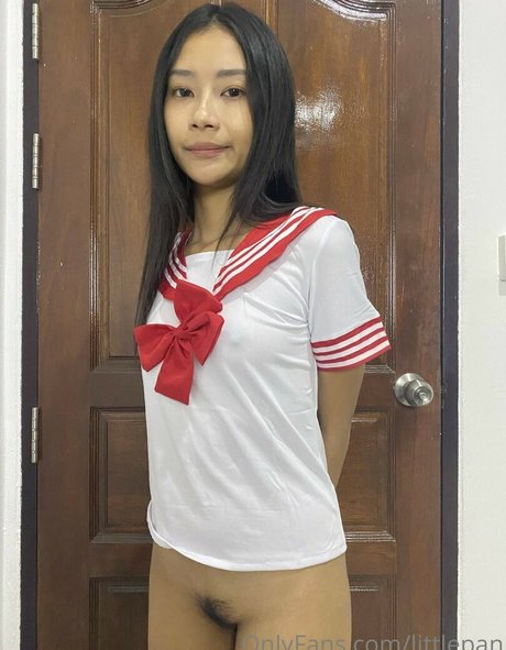 littlepan best model archive