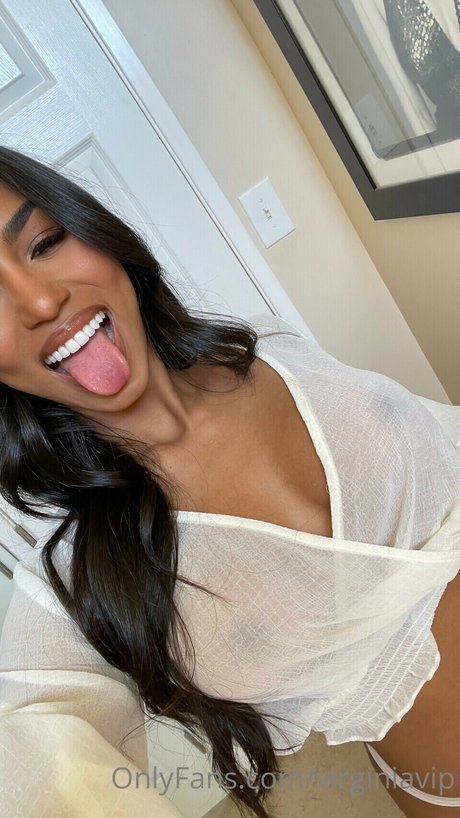 Virginia Sanhouse model hd image