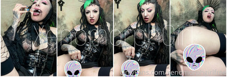 elfspitfree nice model galleries