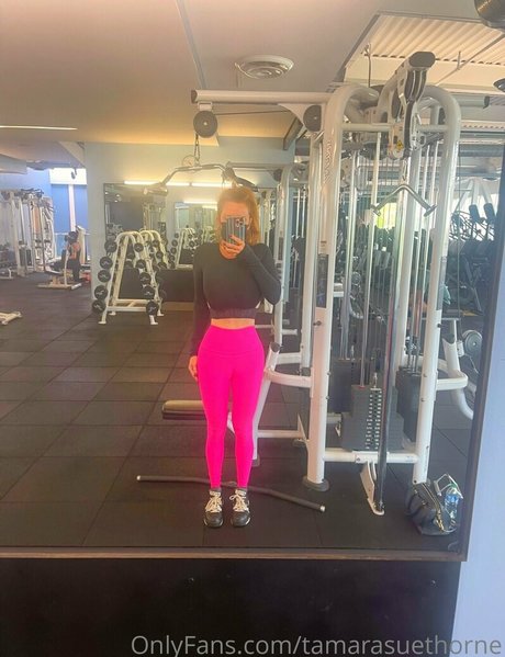 Tamarasuethorne art star img