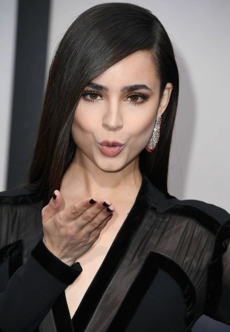 Sofia Carson nudes star pic