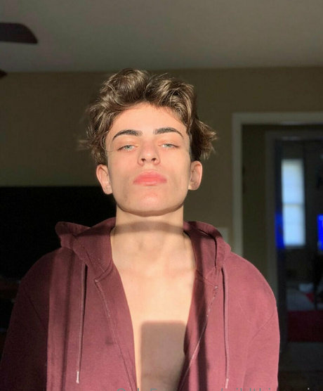 wildthingsvip pornstar art galleries