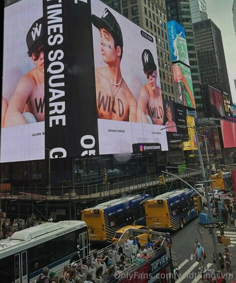 wildthingsvip model high quality archive