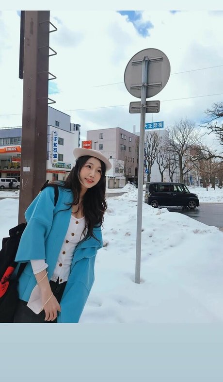 sooflower pretty star photo