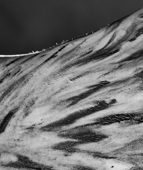 Team Amasian model photo