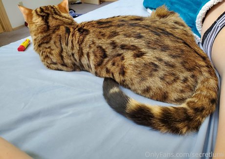 secretlumi star sex photo