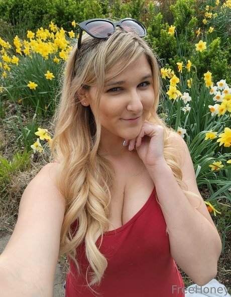 freehoney art star galleries