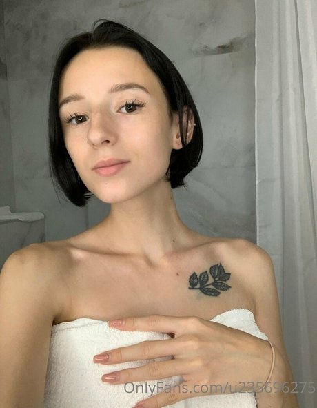 lily shine pretty star gallery