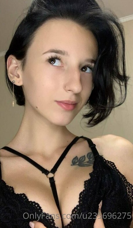 lily shine star best gallery