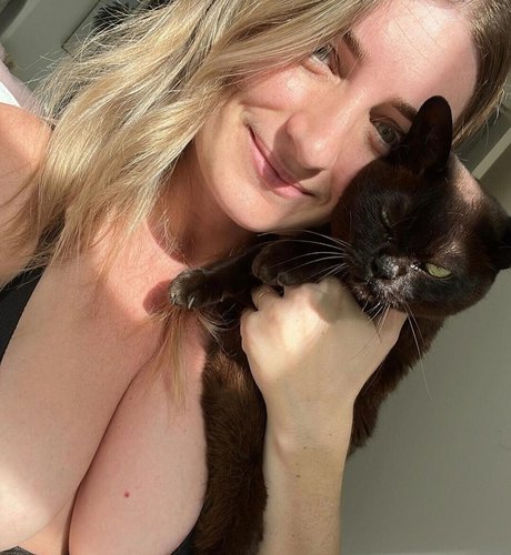 B Rookrlambert model hd images