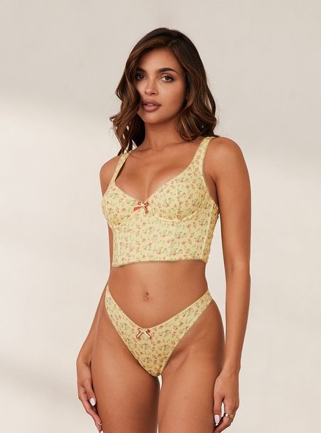 Leidy Amelia star pornographic pics