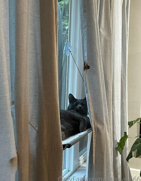 babyjas666 nudes pornstar photos