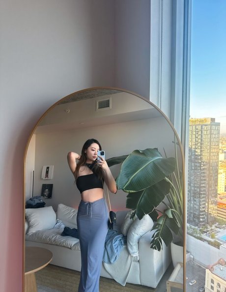 Fanfan best model images