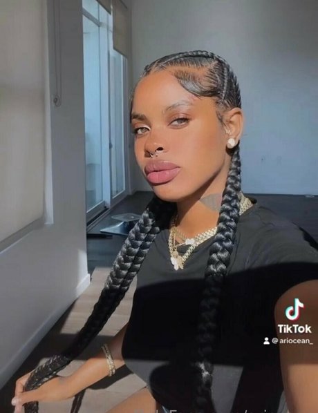 ariocean model top picture