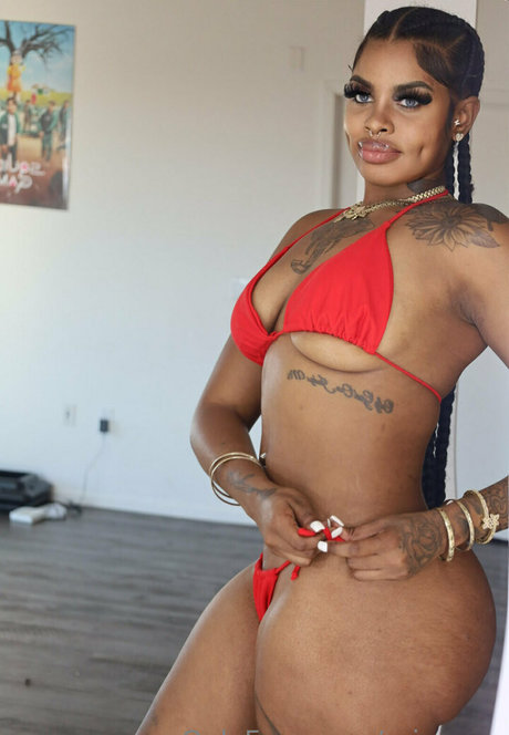 ariocean star nice pictures