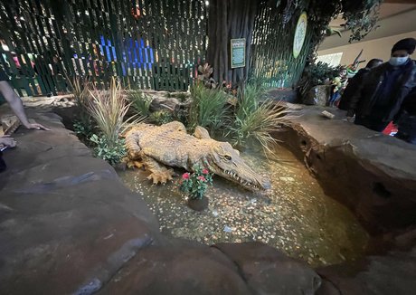 mistylovelace xxx pornstar pictures