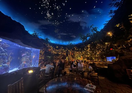 mistylovelace model sexy images