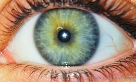 ganjagirl907 star art picture