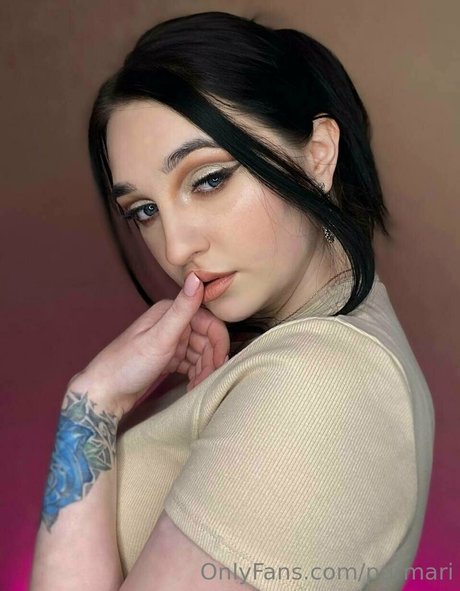 purmari star art galleries