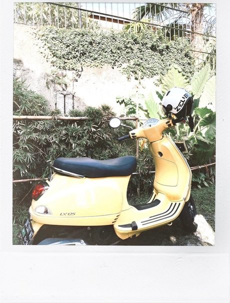 Natalie Jayne Roser pornographic model archive