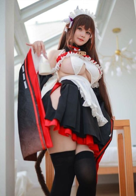 rissoft_ star free picture