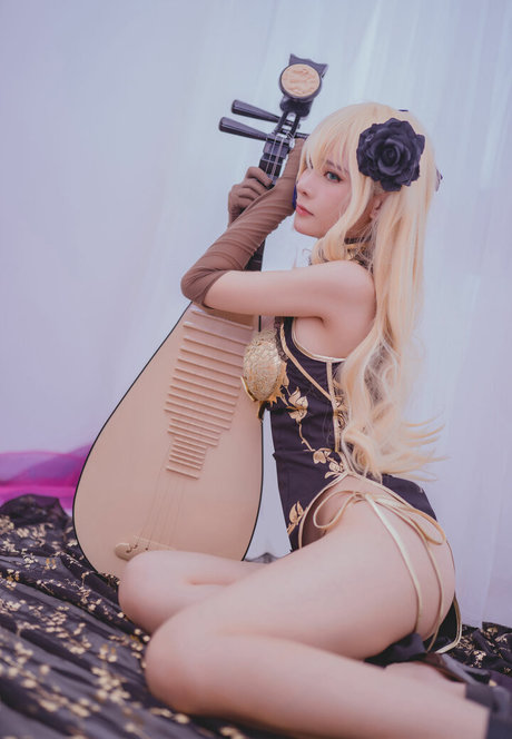 rissoft_ model nice archive