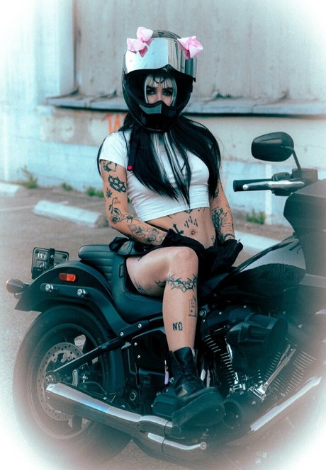 Craysounds model galleries