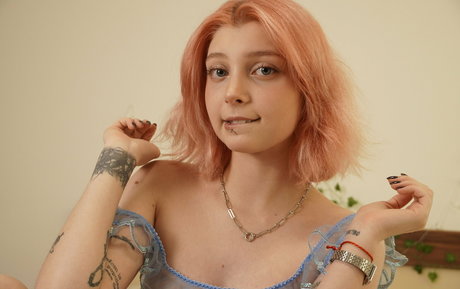 Lit1le Kitty_ adult star archive