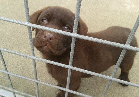 siswet19 pornstar nude img