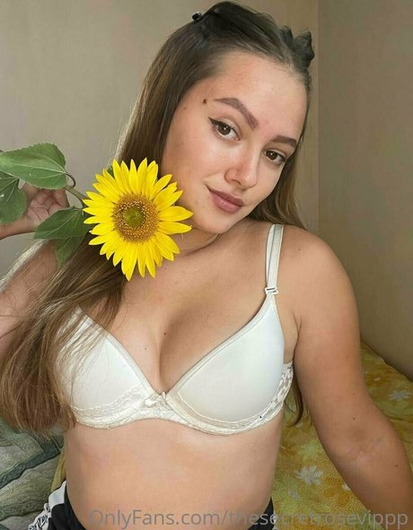 thesecretrosevippp pornographic star galleries