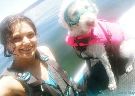 doitwithdaisy Profile pic