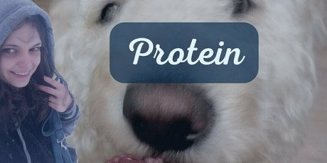 doitwithdaisy porn star pictures