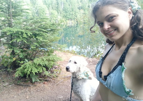 doitwithdaisy star hd archive