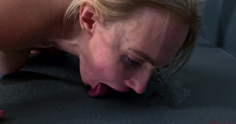 Rebel Rhyder art star archive