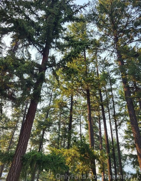 mummy k pornstar nice pictures