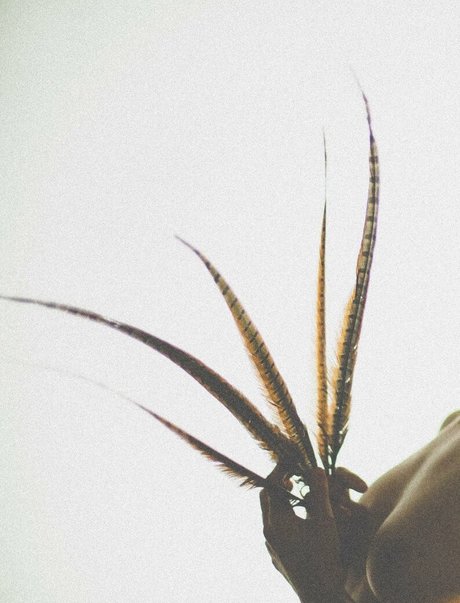 simonsaysarah porn model galleries