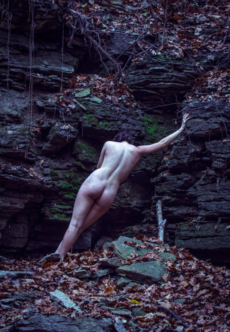 simonsaysarah star high quality image