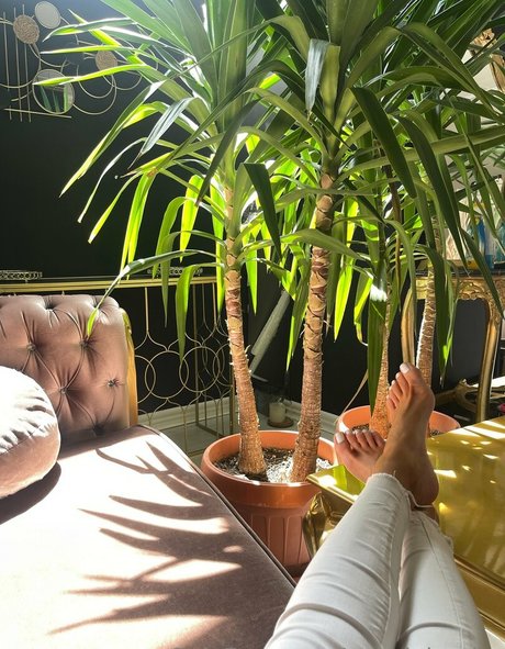 sophialauder model nice image