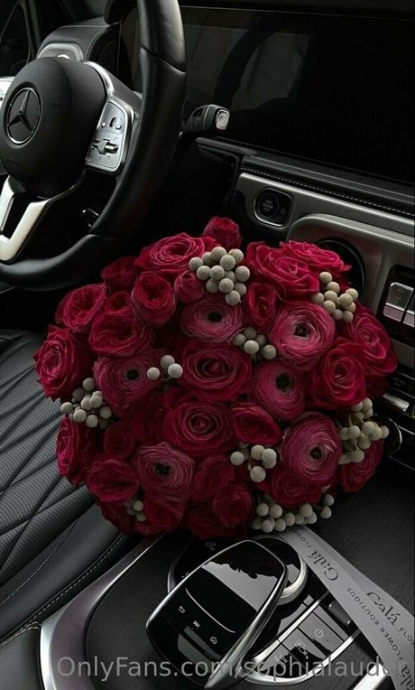 sophialauder naked actress galleries