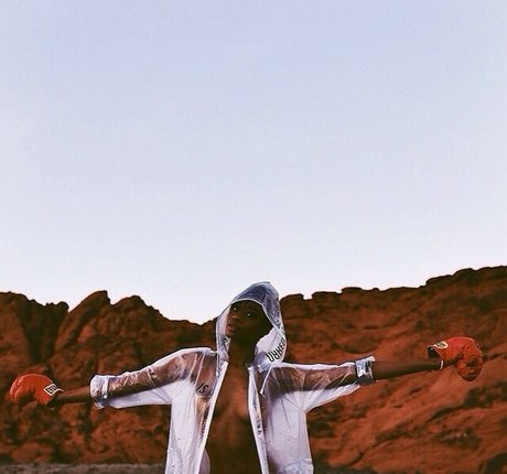 cebrena art model image